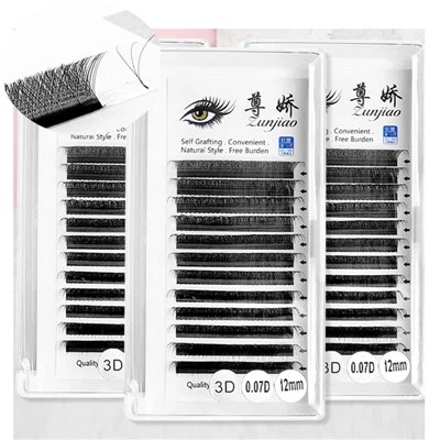 3D حجم کوڑے مارے گئے